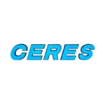 Mini LED Acrylic Letters with Transparent Acrylic Box（Customized Letter Color）- Indoor & Outdoor Use